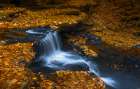 Autumn Waterfall Art Print