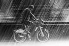 its raining cats and dogs Art Print