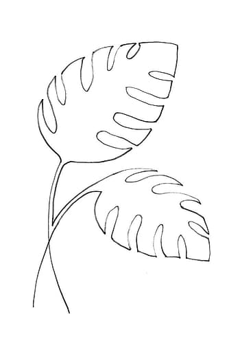 Monstera Lines Art Print by 1x Studio II
