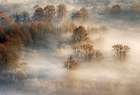 foggy landscape Art Print