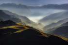 MISTY MORNING Art Print