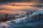 Sunrise light in the foggy valley Art Print