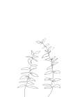 Branches Art Print