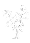 Standing Twigs Art Print