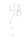 Flower Art Print