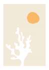 Seaweed in the Sun Art Print