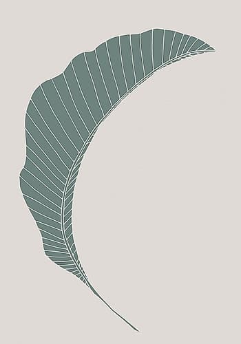 Banana Leaf Green Art Print