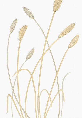 Bunny Grass 01 Art Print