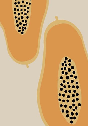 Papaya Fruit Art Print