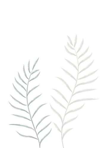 Pale Plants Art Print by 1x Studio II