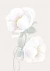 Lush Peony Art Print