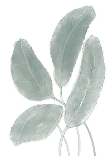 Leaves Watercolor 02 Art Print by 1x Studio II