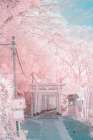 Infrared Photography Art Print