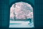 infrared photography Art Print