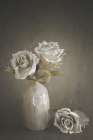 Softened Art Print