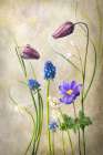 April Freeze Art Print