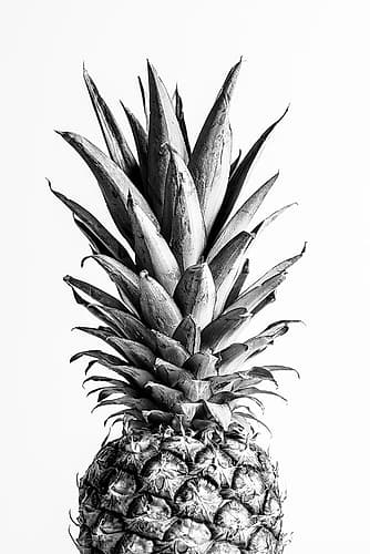 Pineapple Black A White 01 Art Print by 1x Studio III