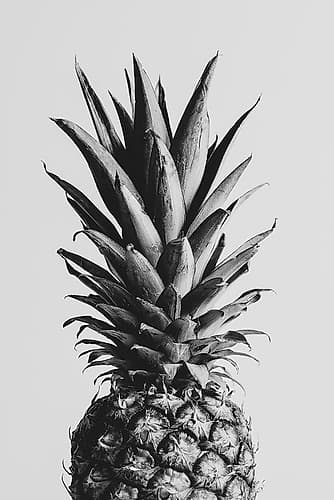 Pineapple Black A White 02 Art Print by 1x Studio III