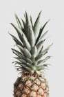 Pineapple Natural Art Print