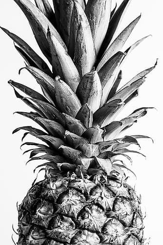 Pinapple Black a White 03 Art Print by 1x Studio III