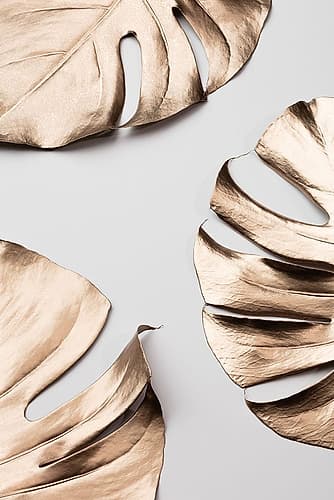 Monstera Gold 01 Art Print by 1x Studio III