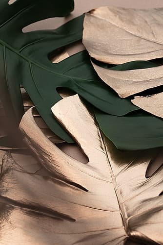 Monstera Mix 01 Art Print by 1x Studio III