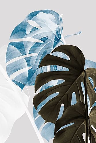 Monstera Creative 02 Art Print by 1x Studio III