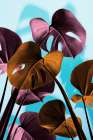Monstera Blue 03 Art Print