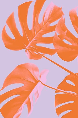 Monstera Purple 04 Art Print by 1x Studio III