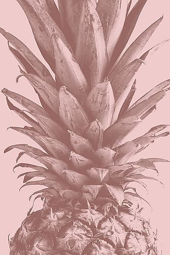 Pineapple Close Up 01 Art Print by 1x Studio III