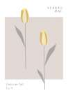 Tulips Studio Bac Art Print