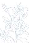 Lillies No 01 Art Print