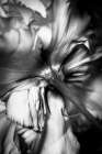 Flower Art Print