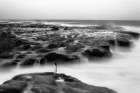 shescape Art Print