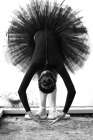 Balerina Art Print