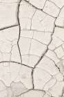 Clay Wall_Light Sand Art Print