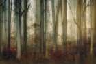 Autumn Light Art Print