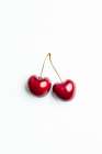 Pair Of Cherries Art Print