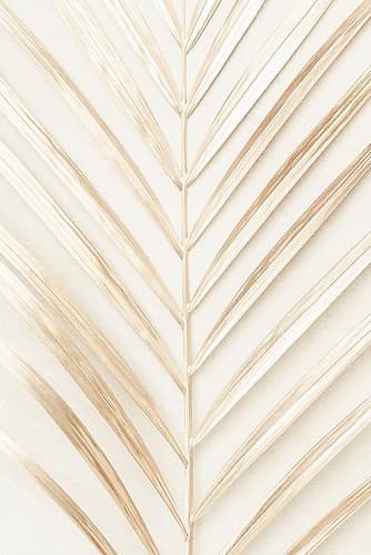 Golden Palm Leaf Art Print by 1x Studio III