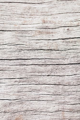 Wood close up Art Print by 1x Studio III