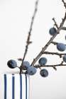 Berries Blue Art Print