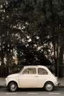 Little Car In Paris Art Print