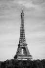 Eiffel Tower - Tour Eiffel Art Print