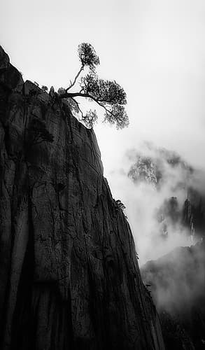 Mt. Huang Landscape Print