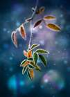 ... Art Print