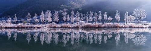 Cold morning Landscape Print