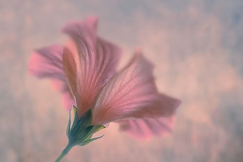 Dancing Art Print by Clear Water