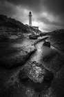 Untitled Art Print