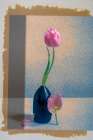 A Study in Contrast Art Print
