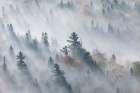 The Fog of Silence, The Fog of Illusion Art Print